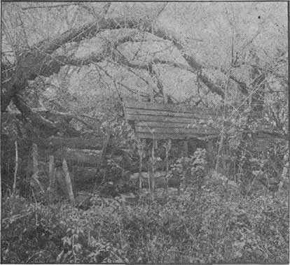 Early Chruch in Log Cabin Home